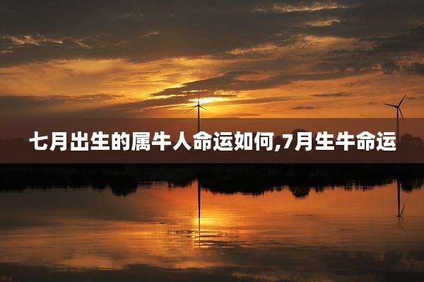 七月出生的属牛人命运如何,7月生牛命运