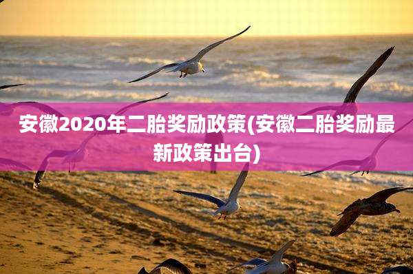 安徽2020年二胎奖励政策(安徽二胎奖励最新政策出台)