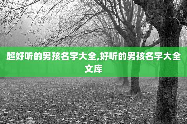 超好听的男孩名字大全,好听的男孩名字大全文库