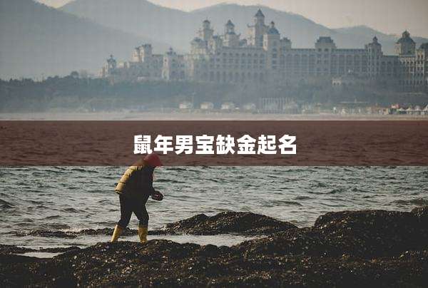 鼠年男宝缺金起名