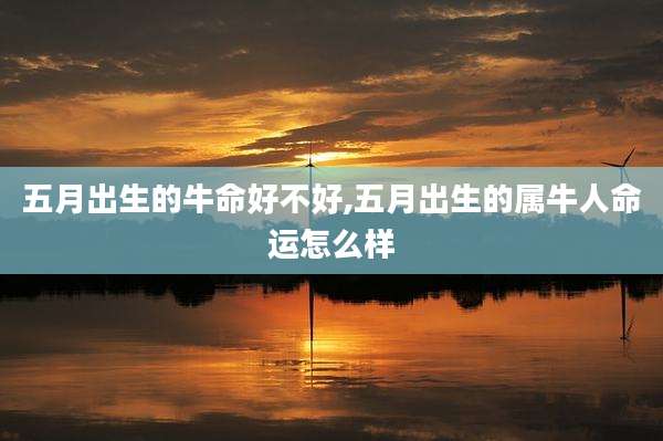 五月出生的牛命好不好,五月出生的属牛人命运怎么样