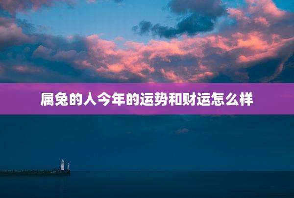 属兔的人今年的运势和财运怎么样