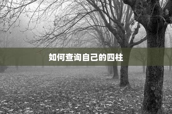 如何查询自己的四柱