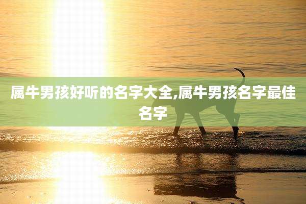 属牛男孩好听的名字大全,属牛男孩名字最佳名字