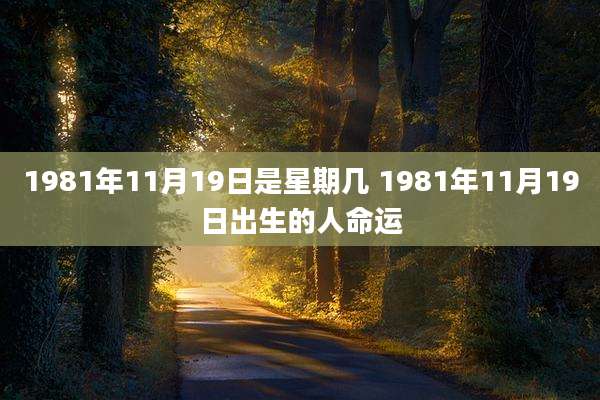 1981年11月19日是星期几 1981年11月19日出生的人命运