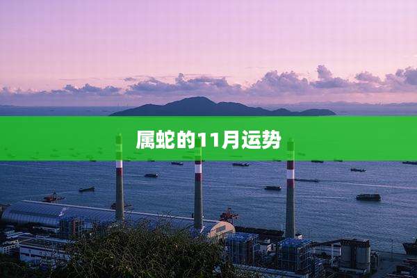 属蛇的11月运势