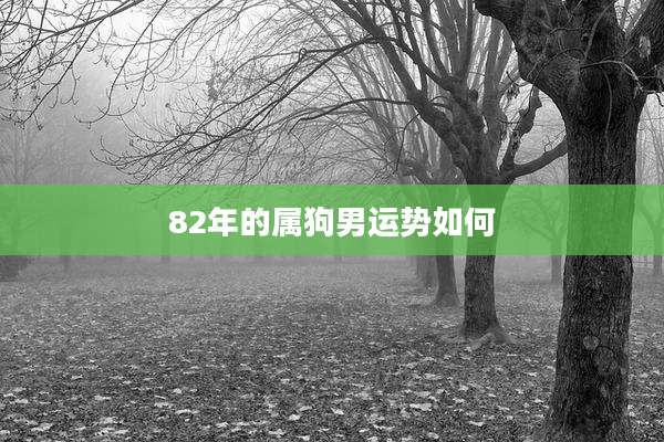 82年的属狗男运势如何