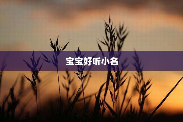 宝宝好听小名