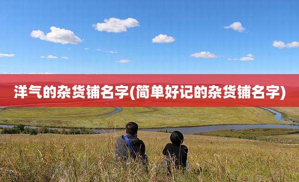 洋气的杂货铺名字(简单好记的杂货铺名字)