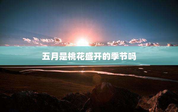 五月是桃花盛开的季节吗