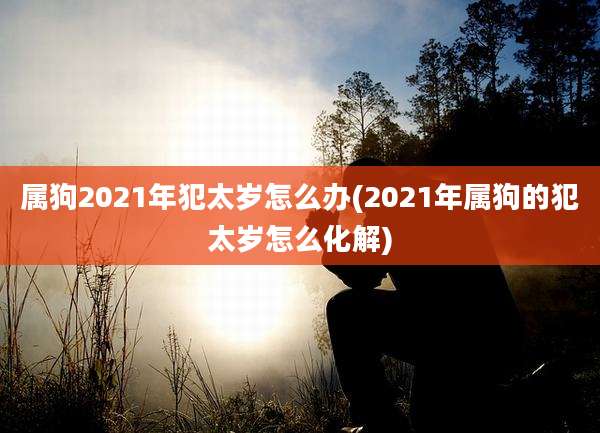 属狗2021年犯太岁怎么办(2021年属狗的犯太岁怎么化解)
