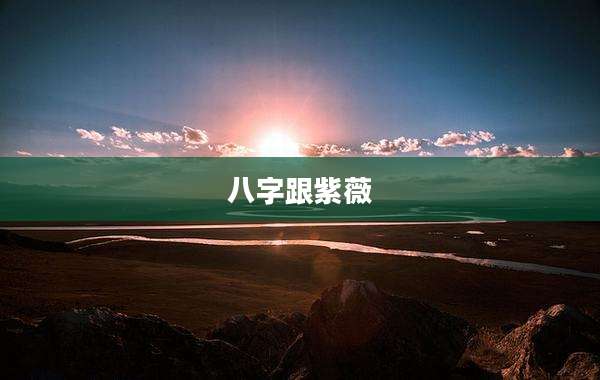 八字跟紫薇