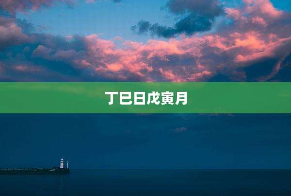 丁巳日戊寅月