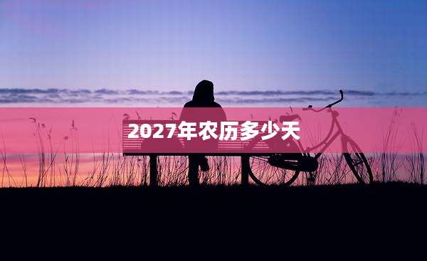 2027年农历多少天
