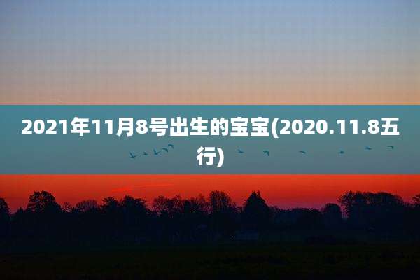 2021年11月8号出生的宝宝(2020.11.8五行)
