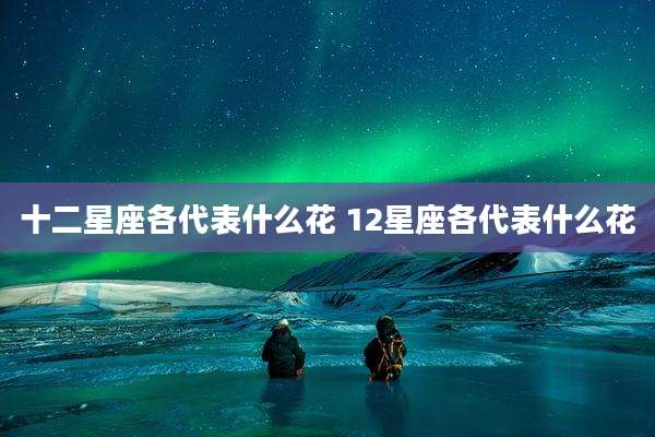 十二星座各代表什么花 12星座各代表什么花