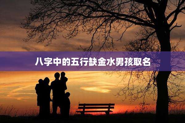 八字中的五行缺金水男孩取名