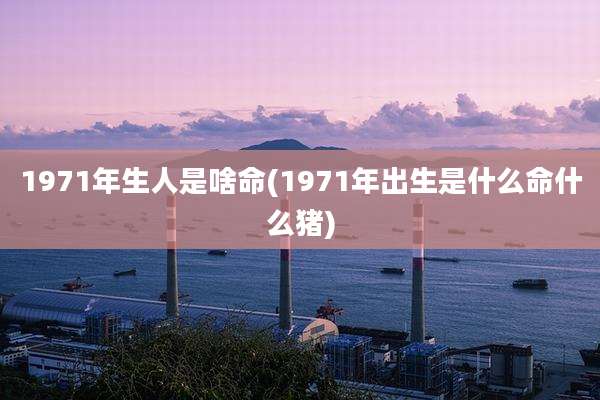 1971年生人是啥命(1971年出生是什么命什么猪)