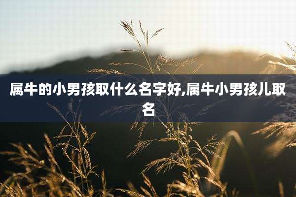 属牛的小男孩取什么名字好,属牛小男孩儿取名