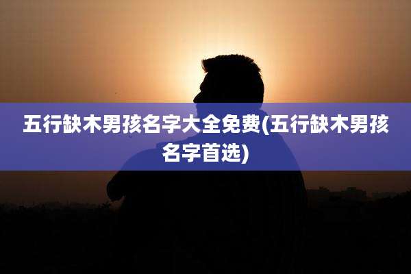 五行缺木男孩名字大全免费(五行缺木男孩名字首选)