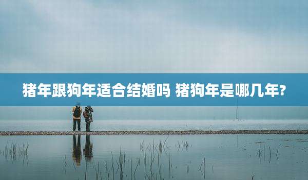 猪年跟狗年适合结婚吗 猪狗年是哪几年?