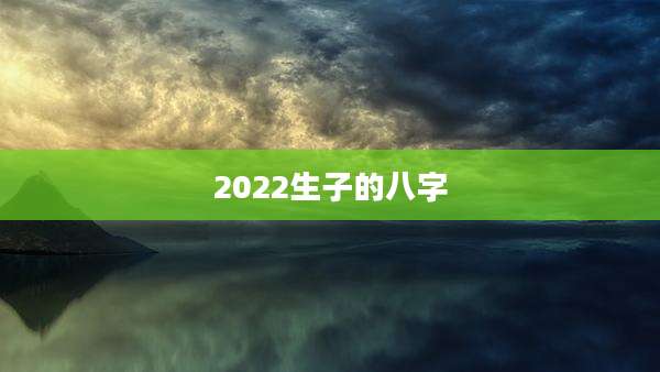 2022生子的八字