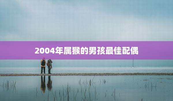 2004年属猴的男孩最佳配偶