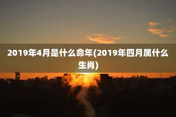 2019年4月是什么命年(2019年四月属什么生肖)