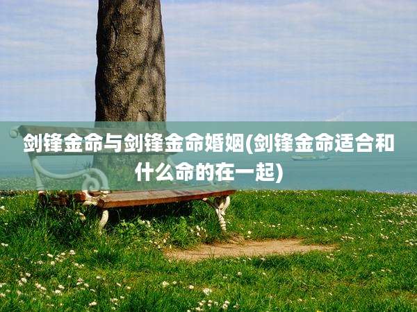 剑锋金命与剑锋金命婚姻(剑锋金命适合和什么命的在一起)