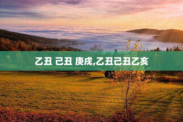 乙丑 己丑 庚戌,乙丑己丑乙亥