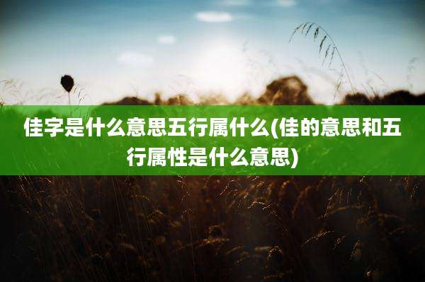 佳字是什么意思五行属什么(佳的意思和五行属性是什么意思)