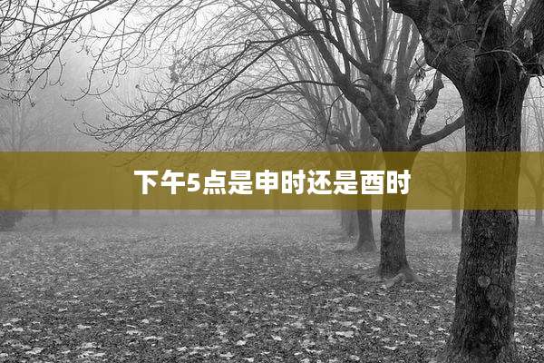 下午5点是申时还是酉时