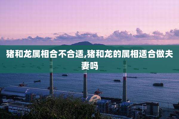 猪和龙属相合不合适,猪和龙的属相适合做夫妻吗
