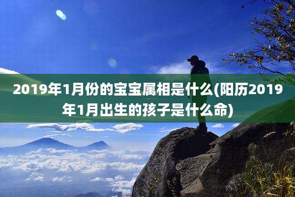 2019年1月份的宝宝属相是什么(阳历2019年1月出生的孩子是什么命)