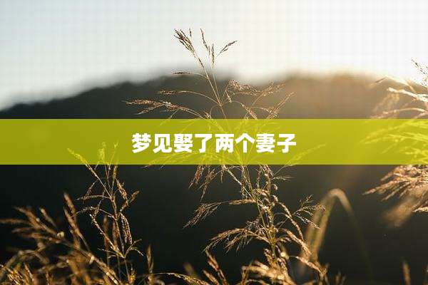 梦见娶了两个妻子