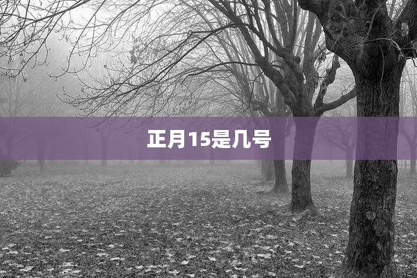 正月15是几号
