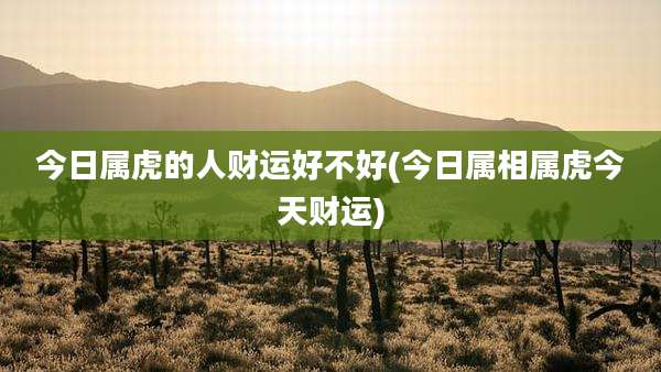 今日属虎的人财运好不好(今日属相属虎今天财运)