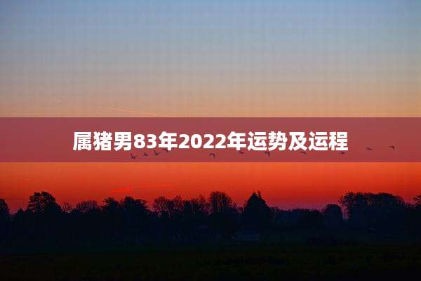 属猪男83年2022年运势及运程