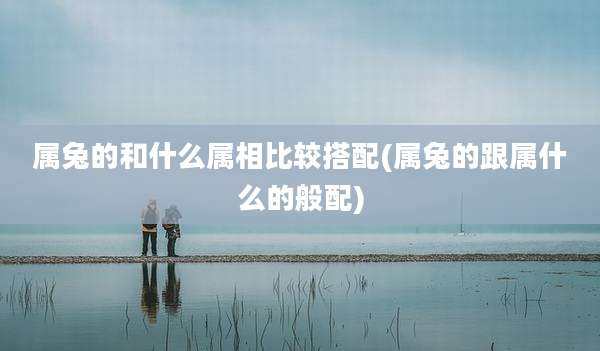 属兔的和什么属相比较搭配(属兔的跟属什么的般配)