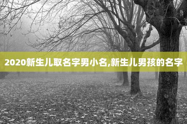 2020新生儿取名字男小名,新生儿男孩的名字