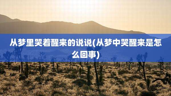 从梦里哭着醒来的说说(从梦中哭醒来是怎么回事)