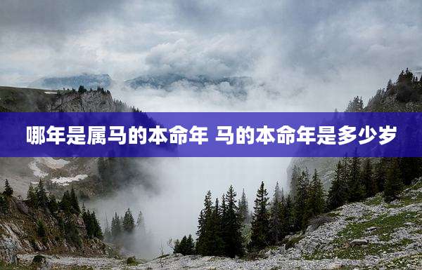 哪年是属马的本命年 马的本命年是多少岁