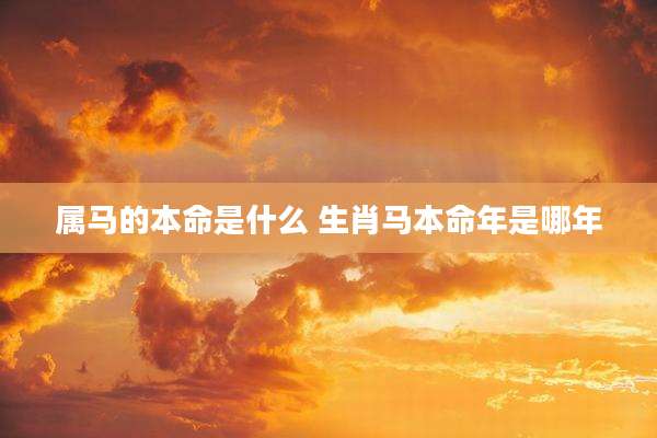 属马的本命是什么 生肖马本命年是哪年