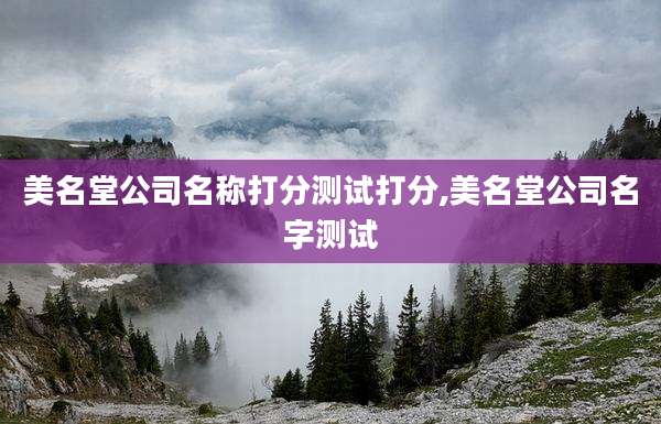 美名堂公司名称打分测试打分,美名堂公司名字测试