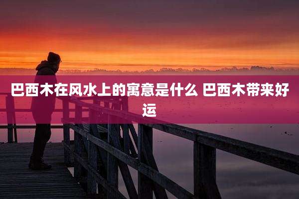 巴西木在风水上的寓意是什么 巴西木带来好运