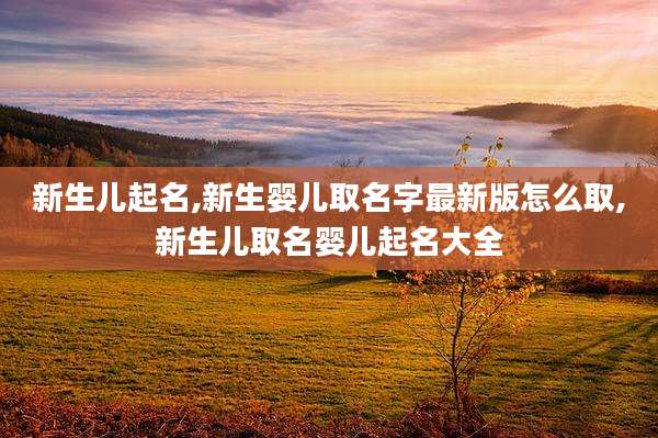 新生儿起名,新生婴儿取名字最新版怎么取,新生儿取名婴儿起名大全