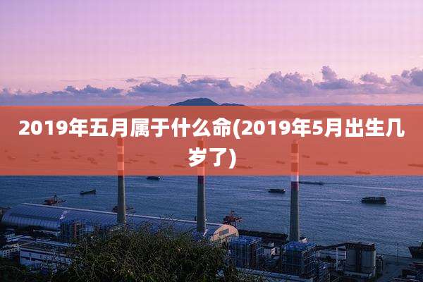 2019年五月属于什么命(2019年5月出生几岁了)