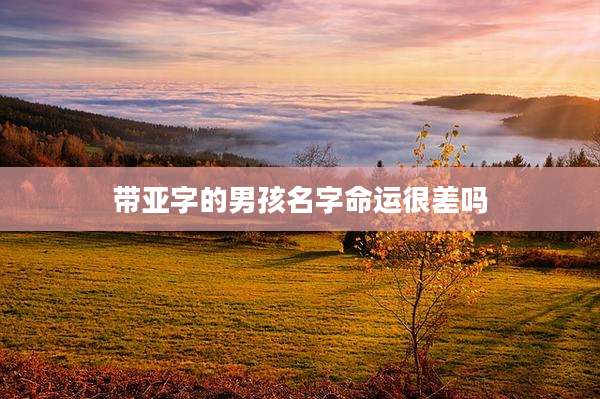 带亚字的男孩名字命运很差吗
