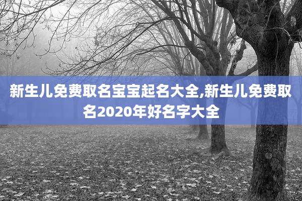 新生儿免费取名宝宝起名大全,新生儿免费取名2020年好名字大全