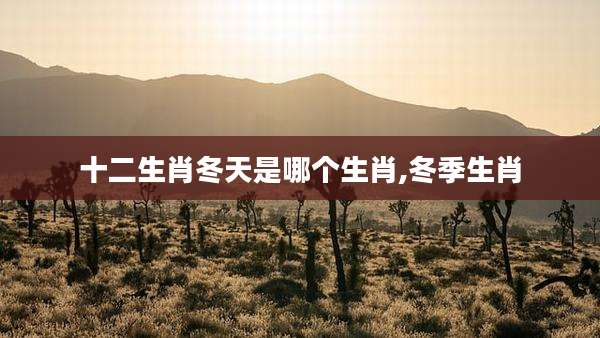 十二生肖冬天是哪个生肖,冬季生肖
